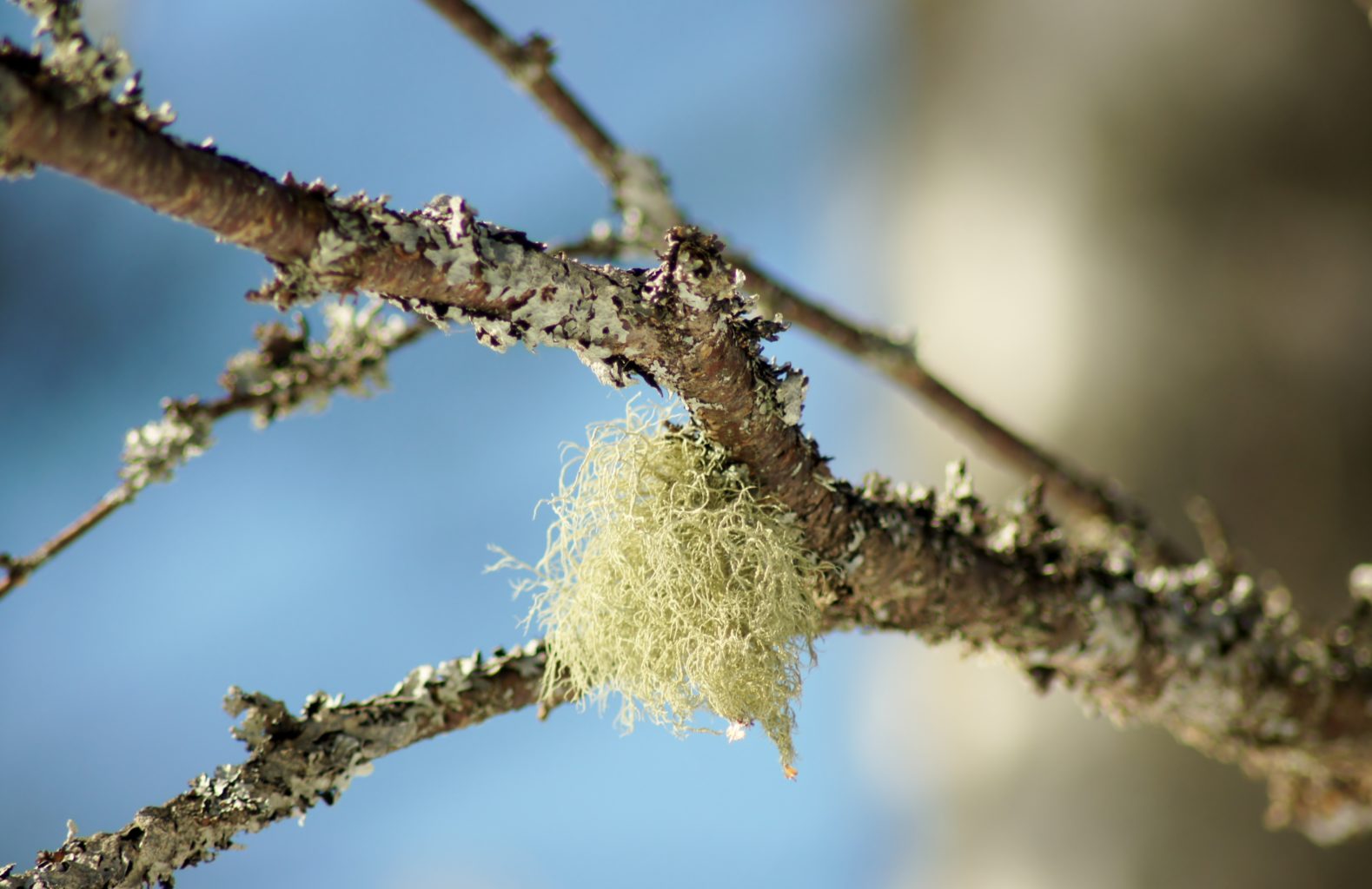 Valokuvaaja: Tuulikki Piikkilä