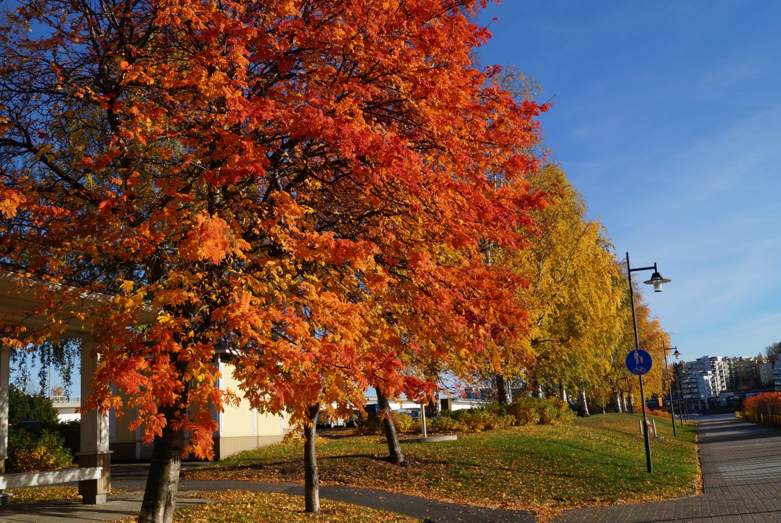Valokuvaaja: Maarit Siitonen