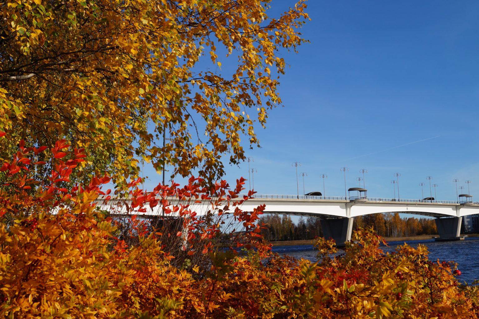Valokuvaaja: Maarit Siitonen Valokuvaaja: Maarit Siitonen