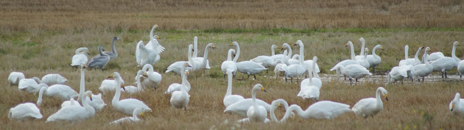 Valokuvaaja: Maarit Siitonen Valokuvaaja: Maarit Siitonen