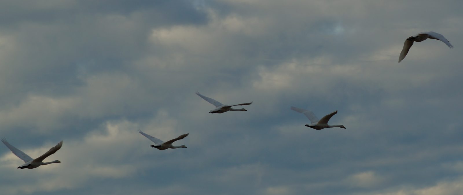 Valokuvaaja: Maarit Siitonen