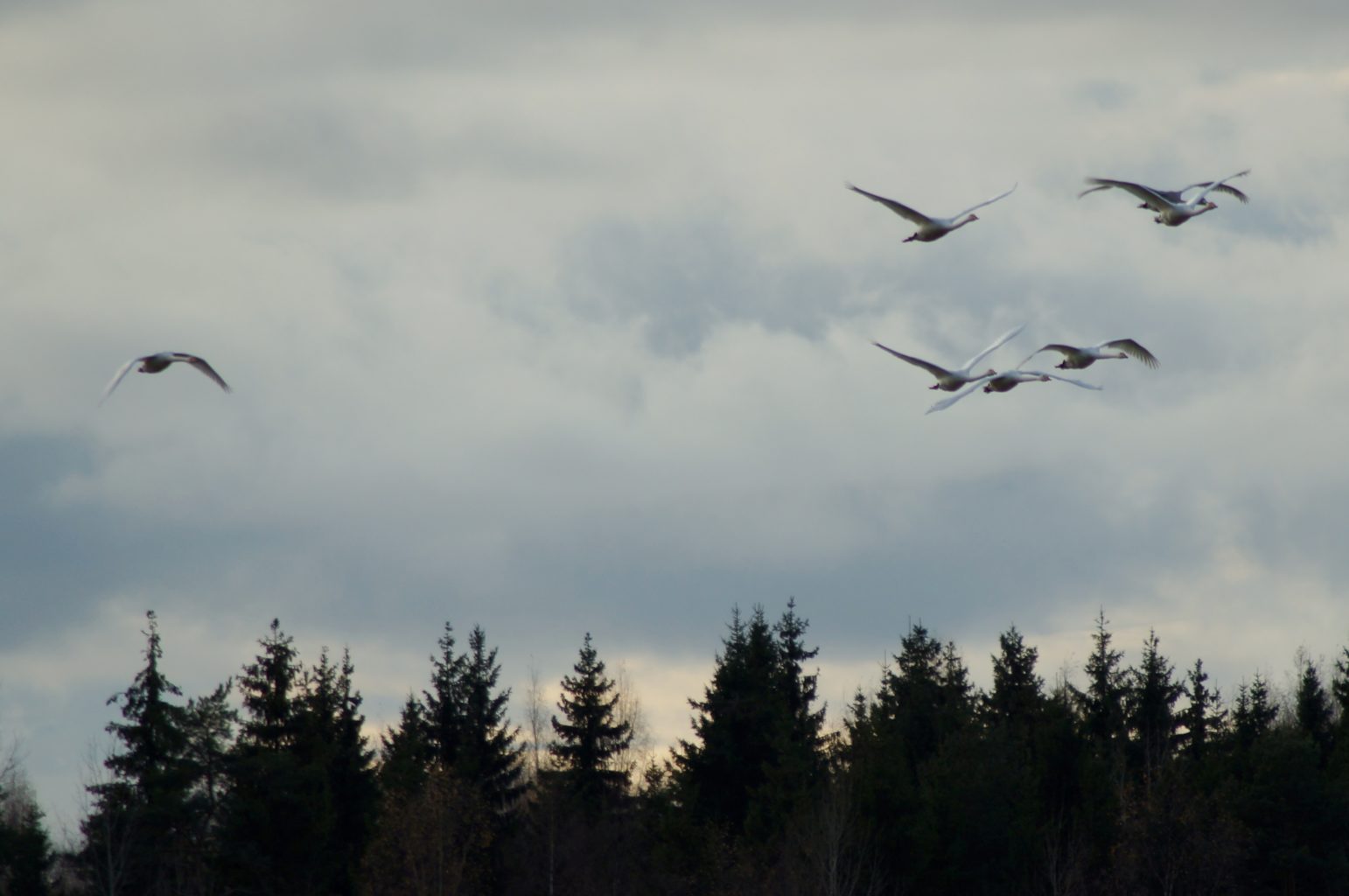 Valokuvaaja: Maarit Siitonen