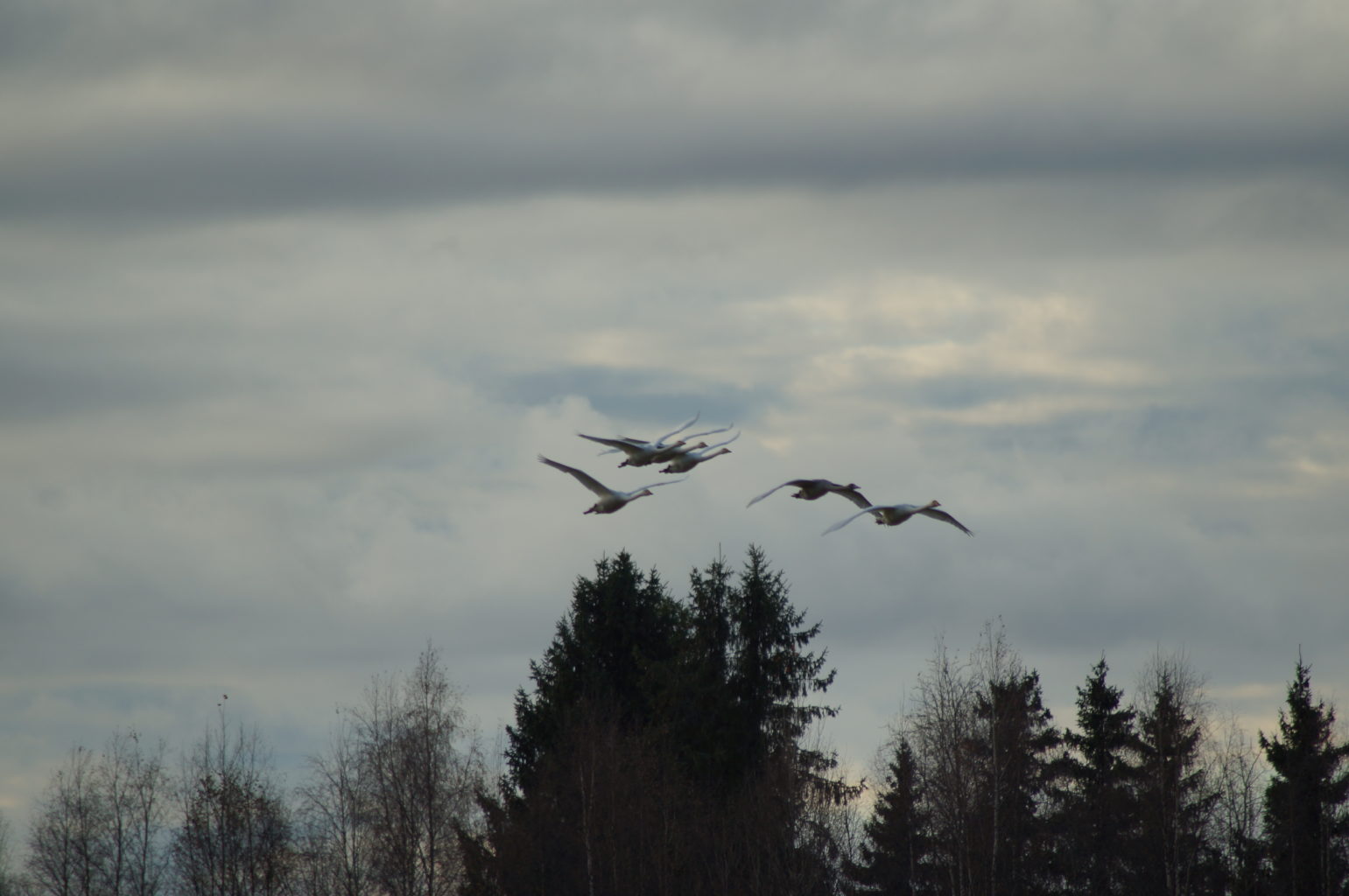 Valokuvaaja: Maarit Siitonen