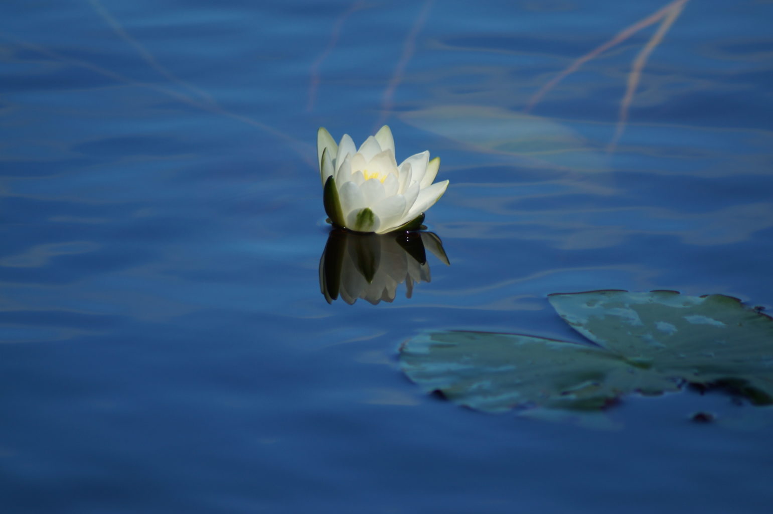 Valokuvaaja: Maarit Siitonen