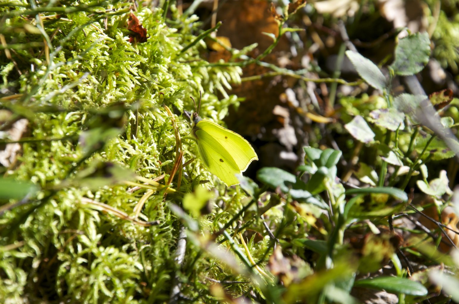 Valokuvaaja: Otto Otsamo