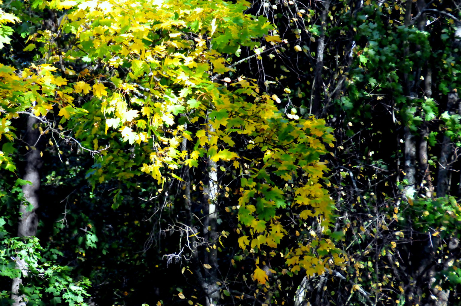 Valokuvaaja: Tiina Talimets-Atanga