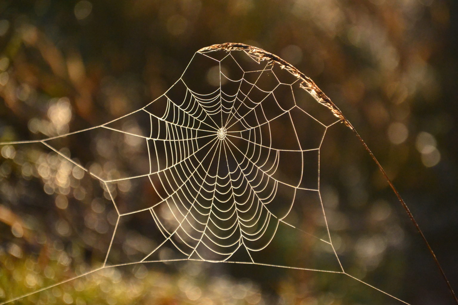Valokuvaaja: Noora Andersson
