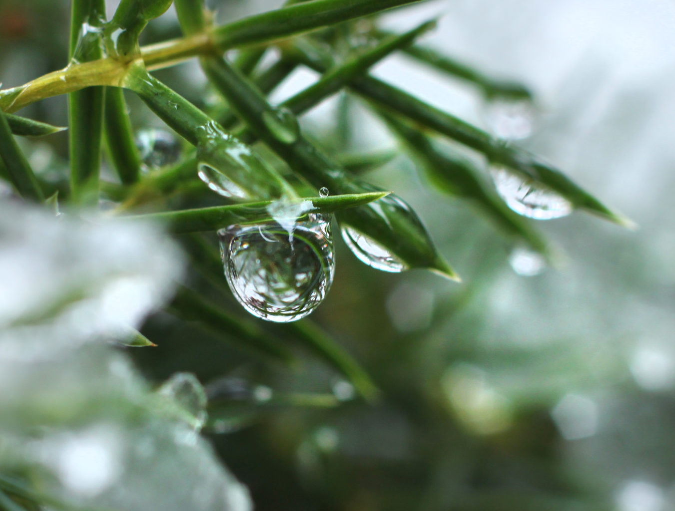 Valokuvaaja: Tarja Porkkala Valokuvaaja: Tarja Porkkala