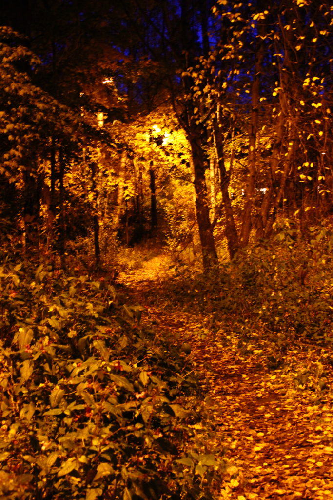 Valokuvaaja: Anu Kokko