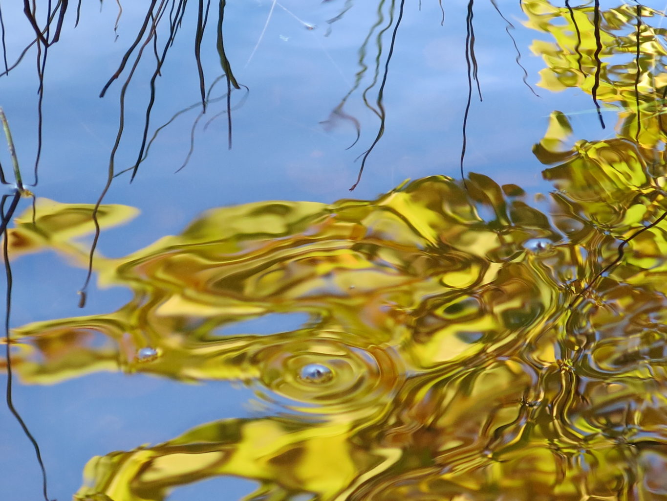 Valokuvaaja: Pirjo Käpylä