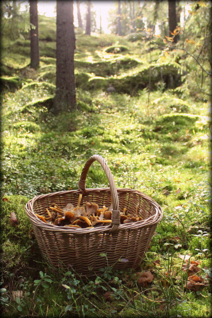 Valokuvaaja: Minna Jakosuo Valokuvaaja: Minna Jakosuo