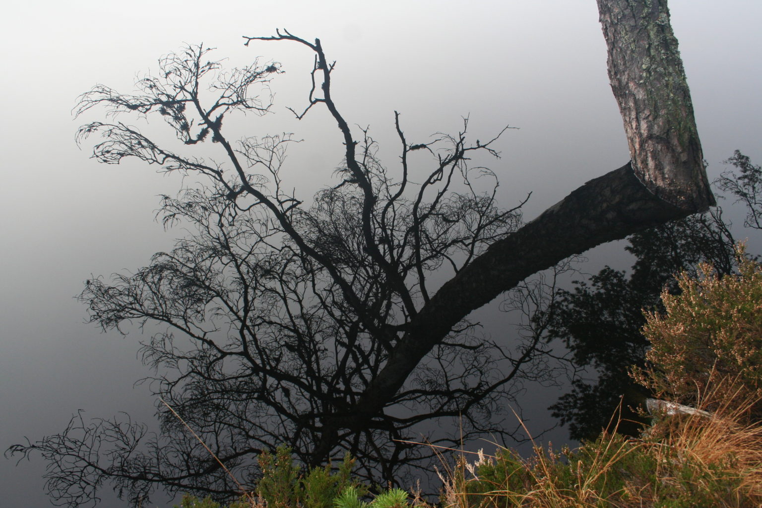Valokuvaaja: Katriina Swanljung