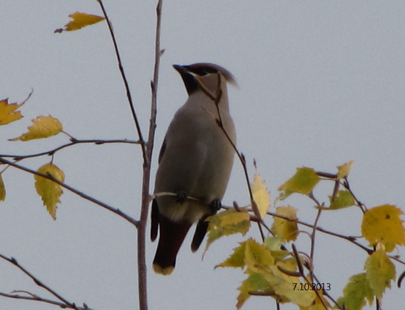 Valokuvaaja: Tuula Makkonen