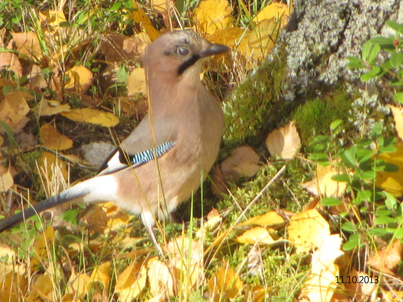 Valokuvaaja: Tuula Makkonen