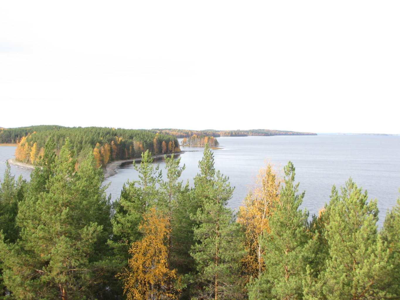 Valokuvaaja: Tuula Makkonen