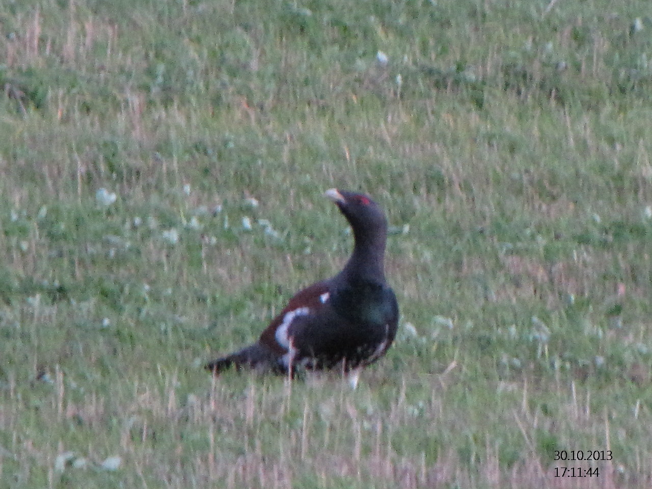 Valokuvaaja: Tuula Makkonen