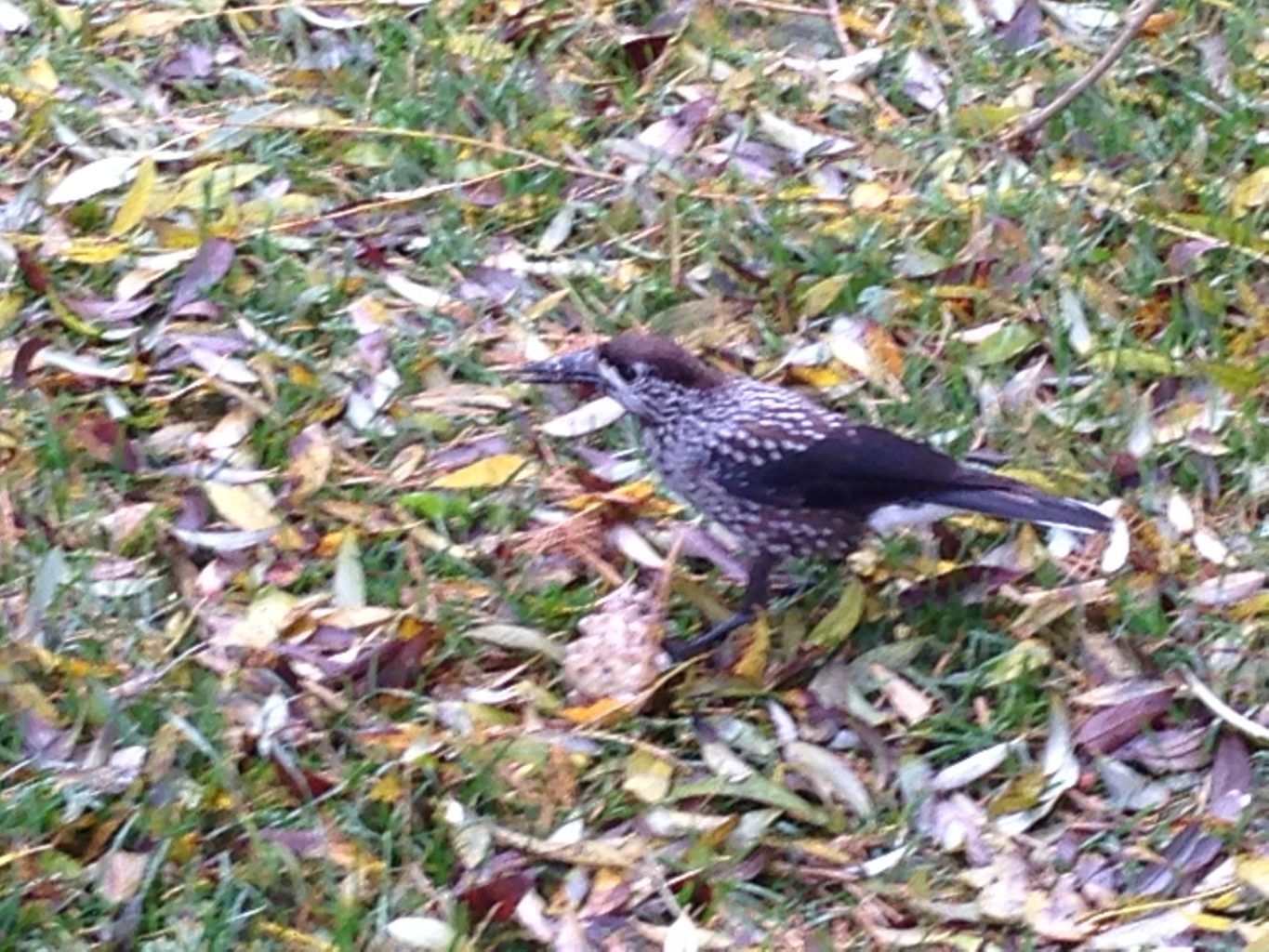 Valokuvaaja: Juha Kivelä Valokuvaaja: Juha Kivelä