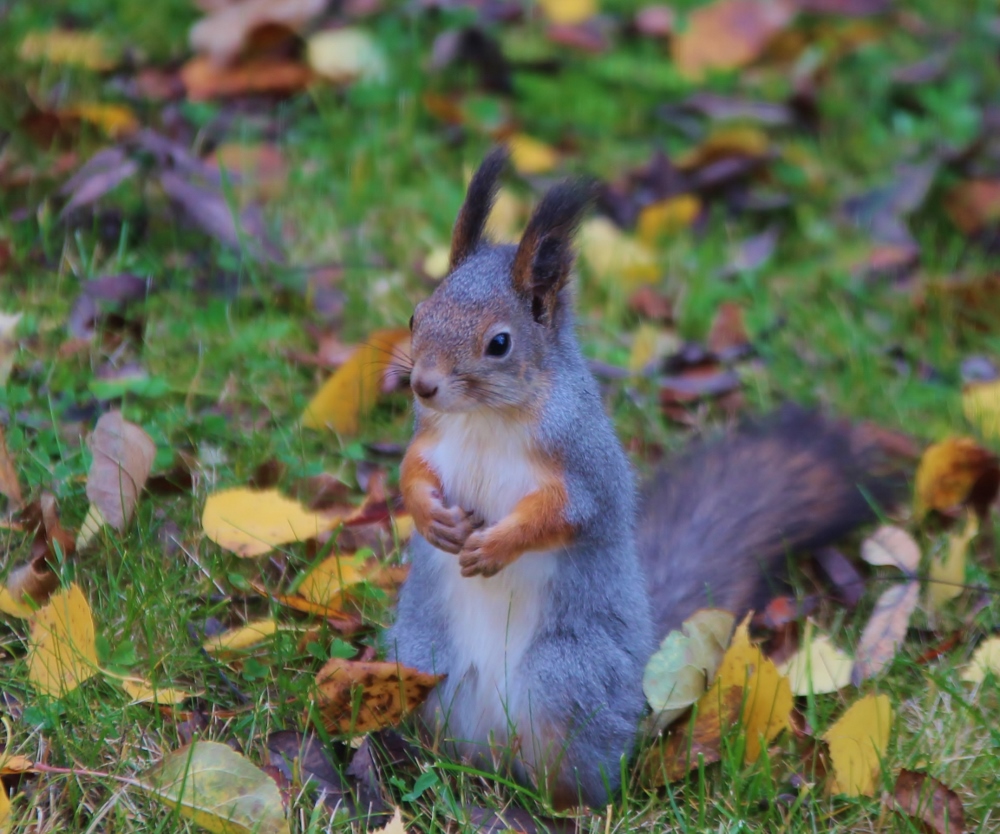 Valokuvaaja: Tuula Pirnes