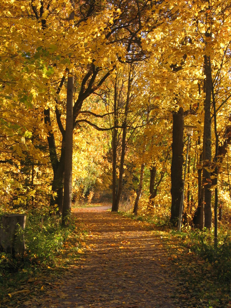 Valokuvaaja: Riika Vilkko