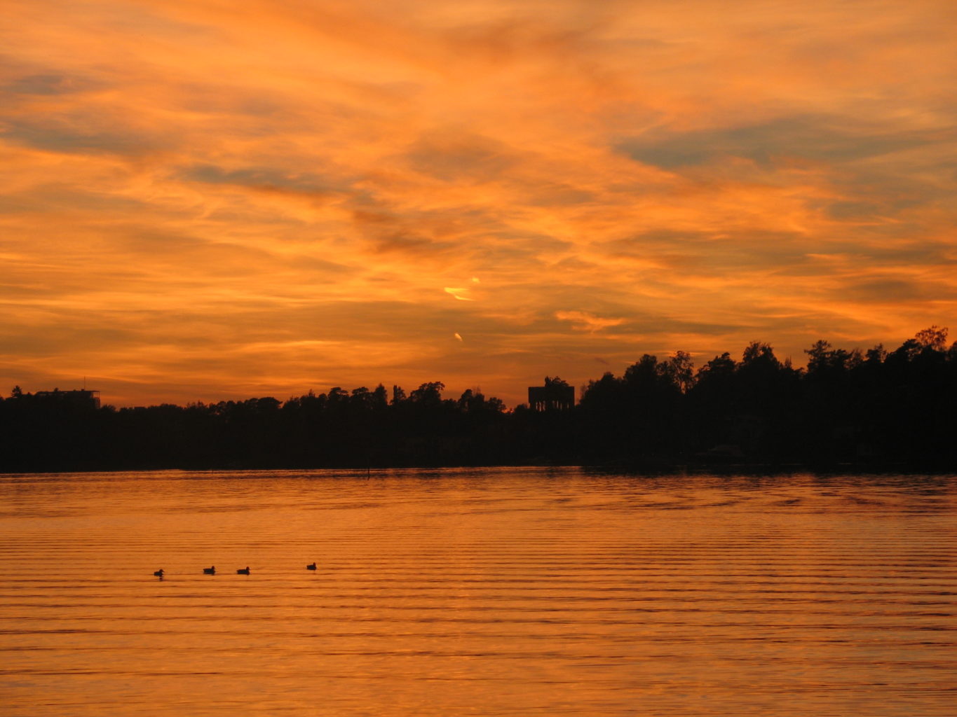 Valokuvaaja: Riika Vilkko