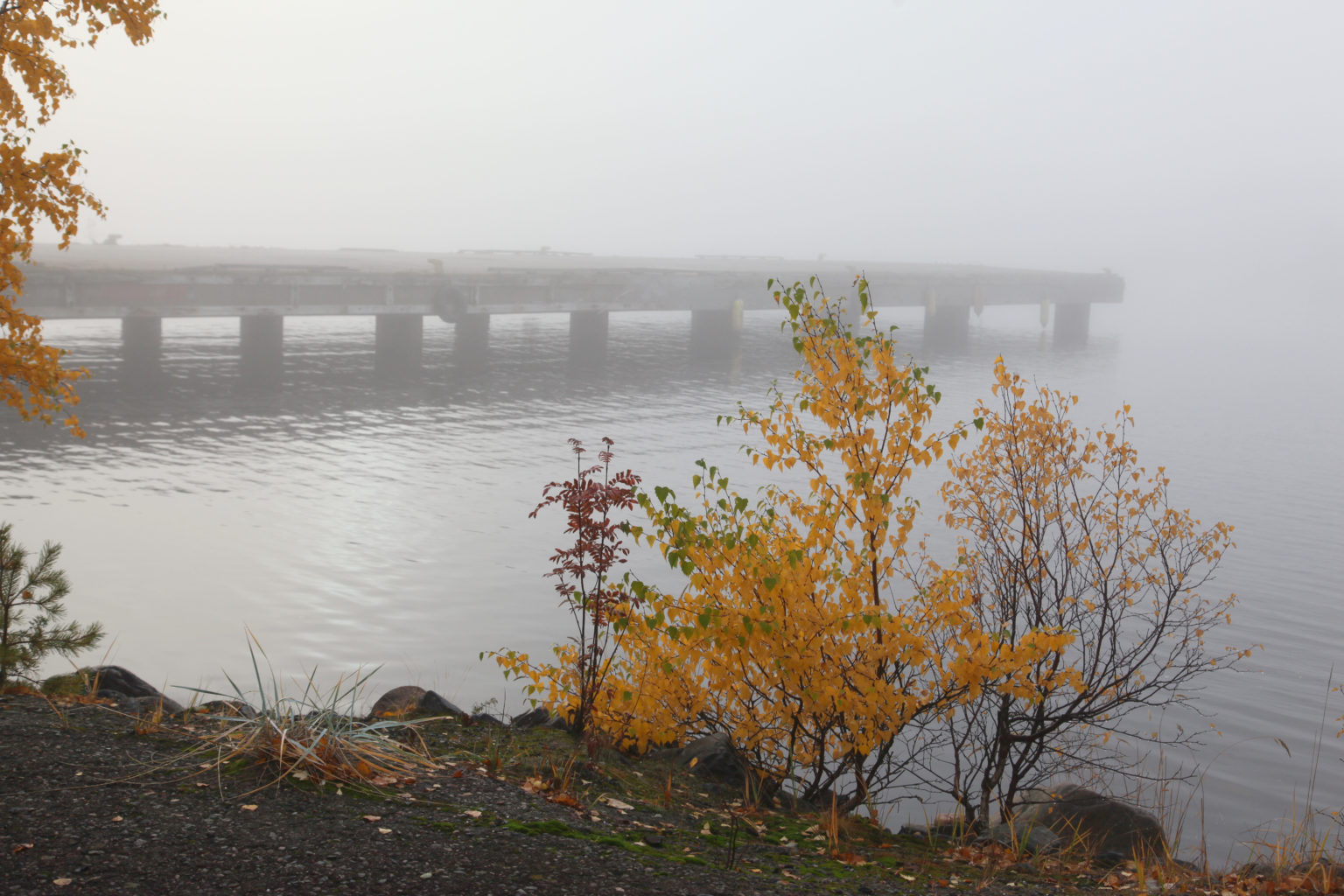 Valokuvaaja: Antti Kärkkäinen