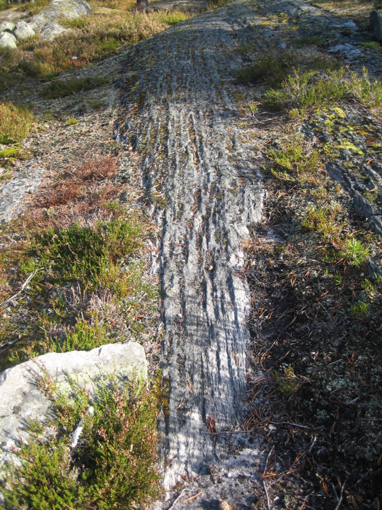 Valokuvaaja: Marja Marjamaa