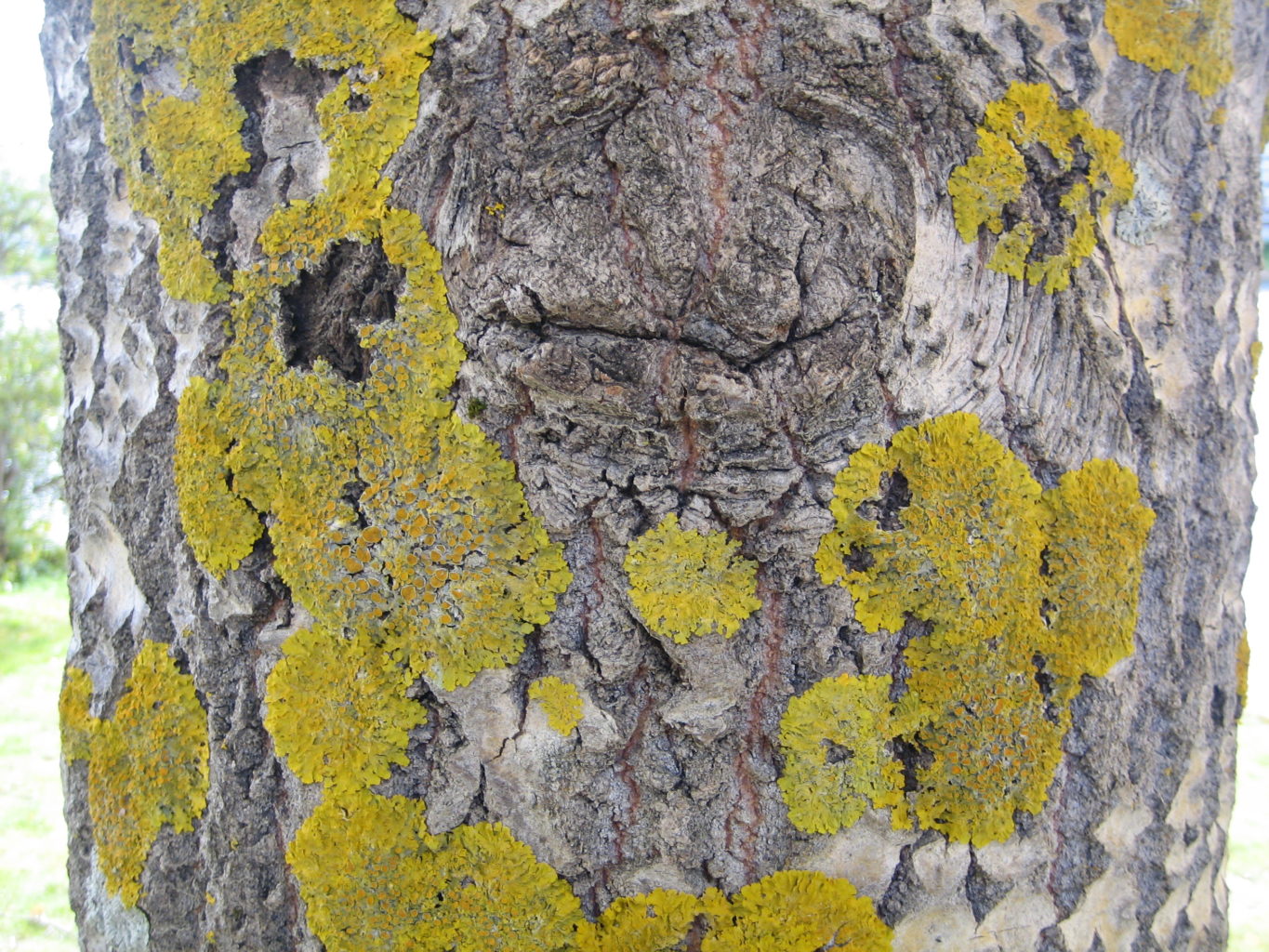 Valokuvaaja: Marja Marjamaa