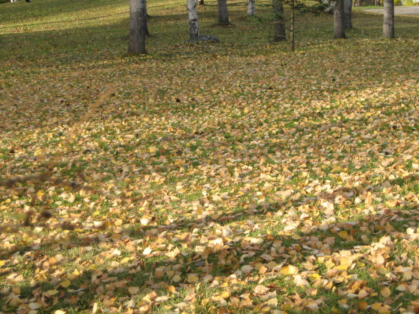 Valokuvaaja: Marja Marjamaa