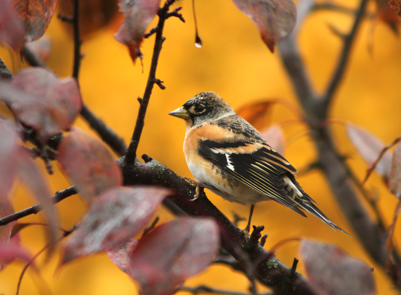Valokuvaaja: Tarja Porkkala