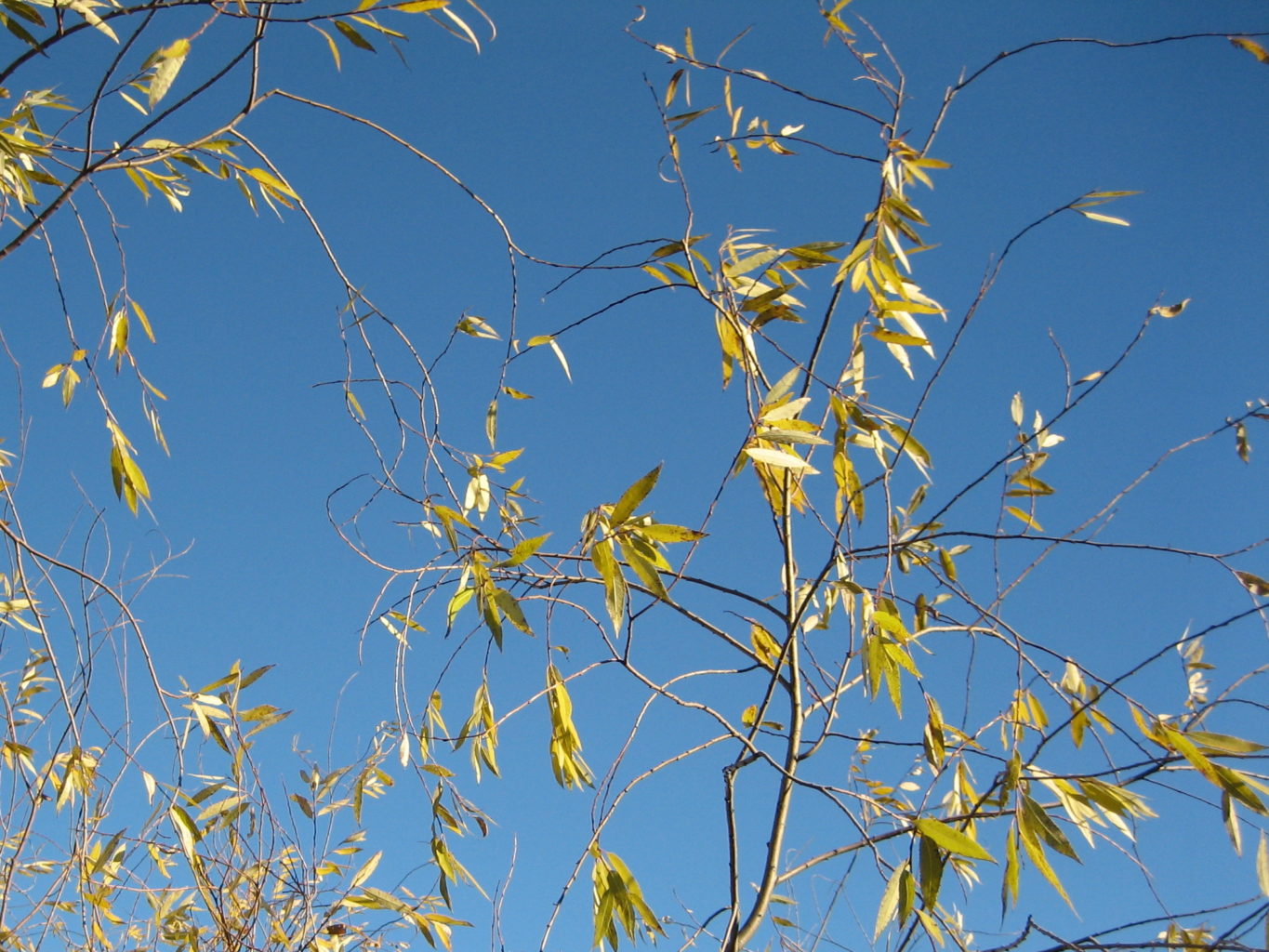 Valokuvaaja: Marja Marjamaa