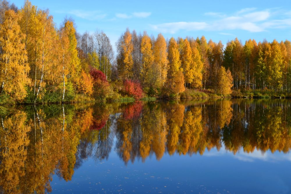 Ruskamaisema