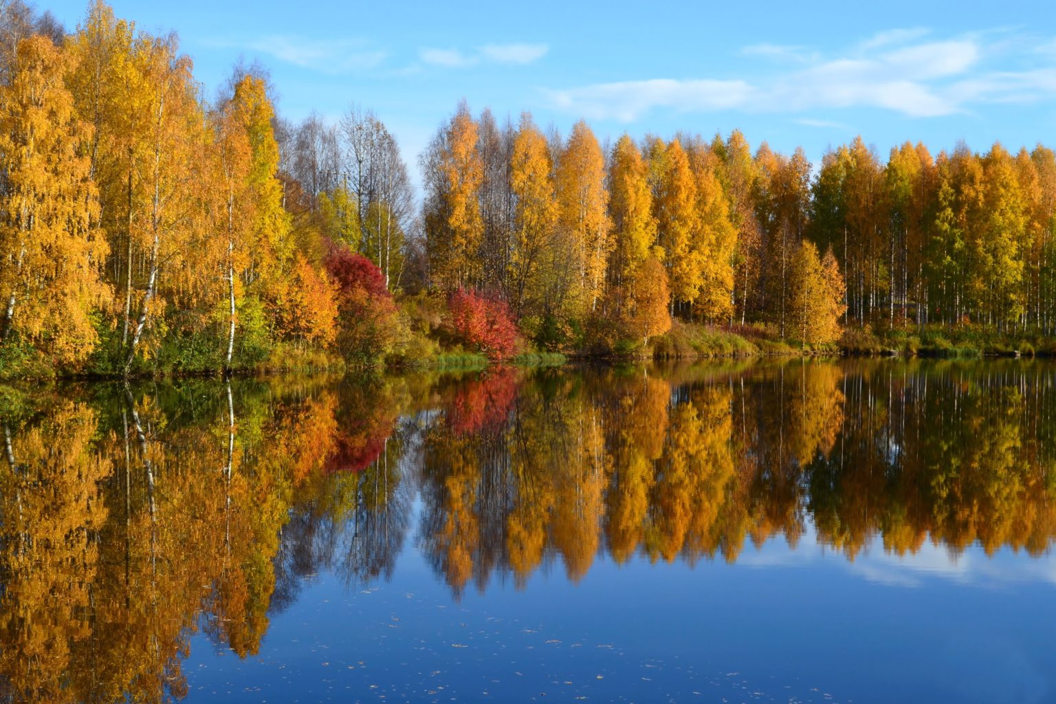 Valokuvaaja: Anna-Liisa Palomaa