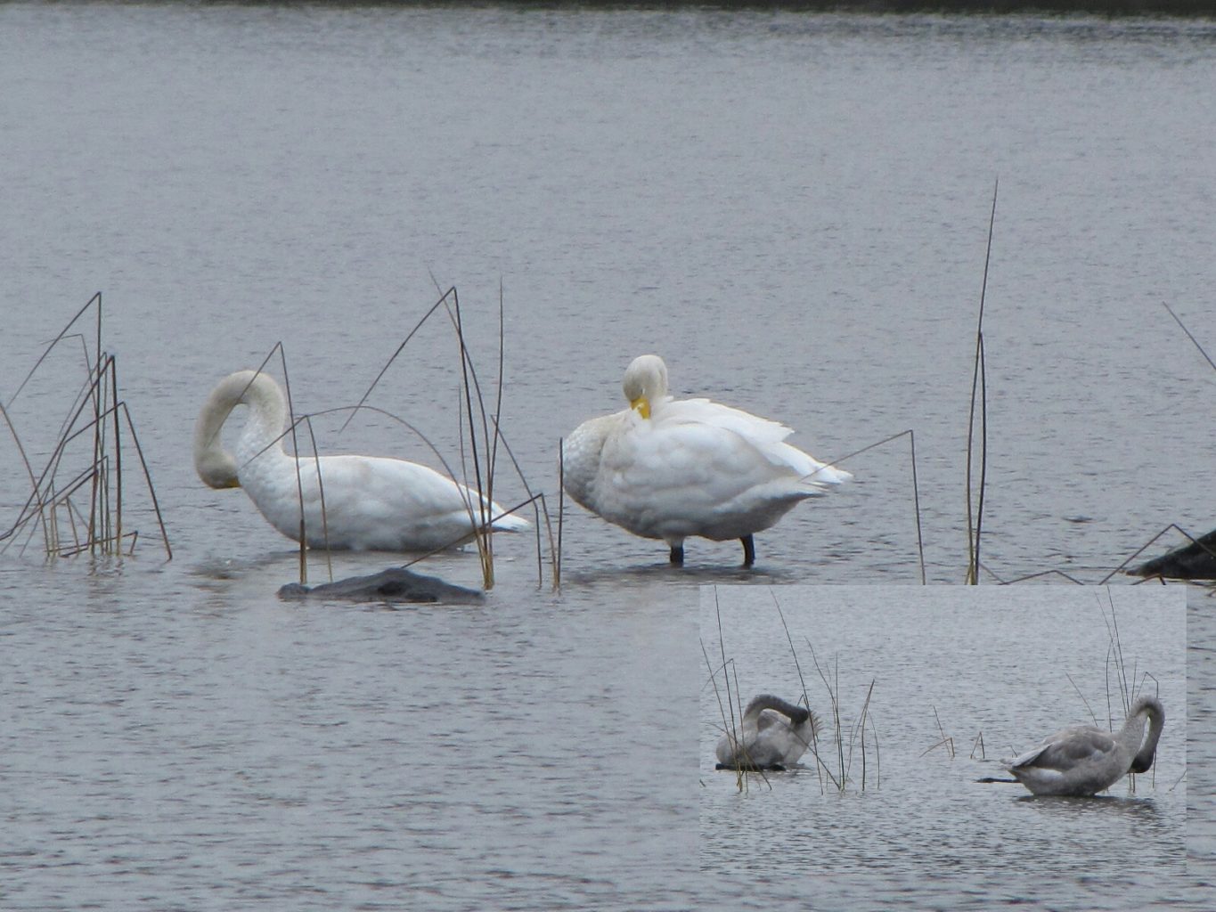 Valokuvaaja: Tuula Makkonen