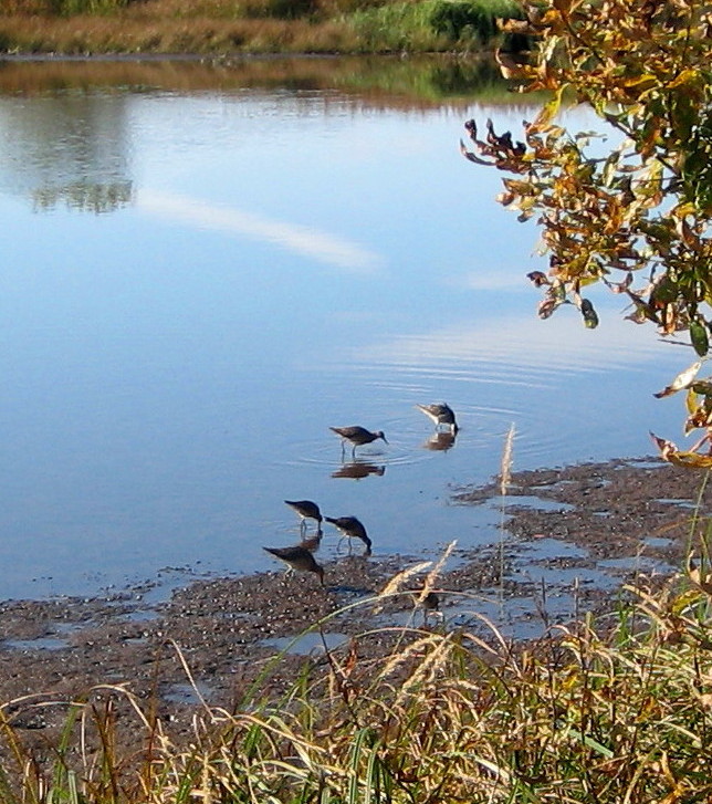 Valokuvaaja: Marja Marjamaa