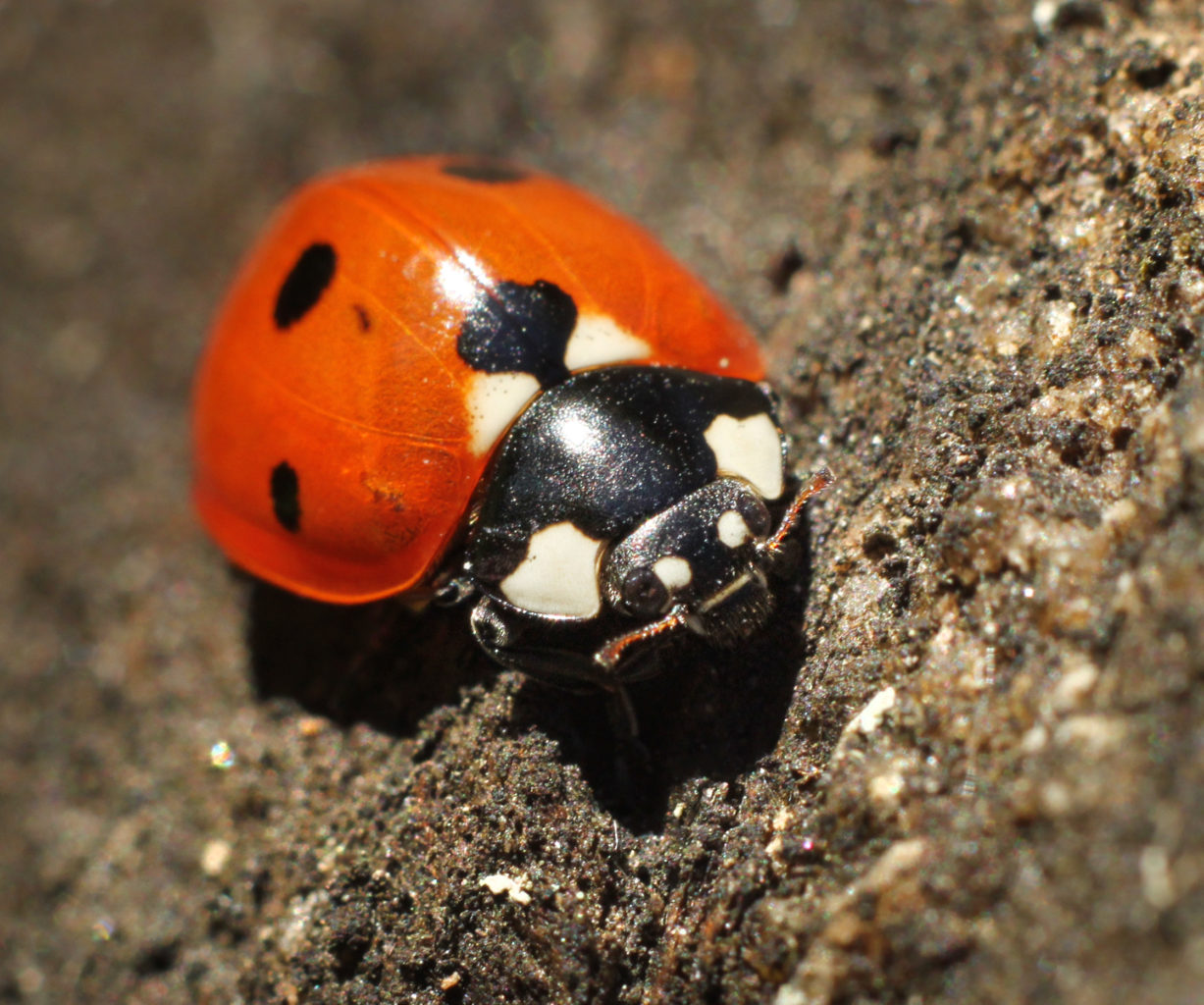 Valokuvaaja: Tarja Porkkala