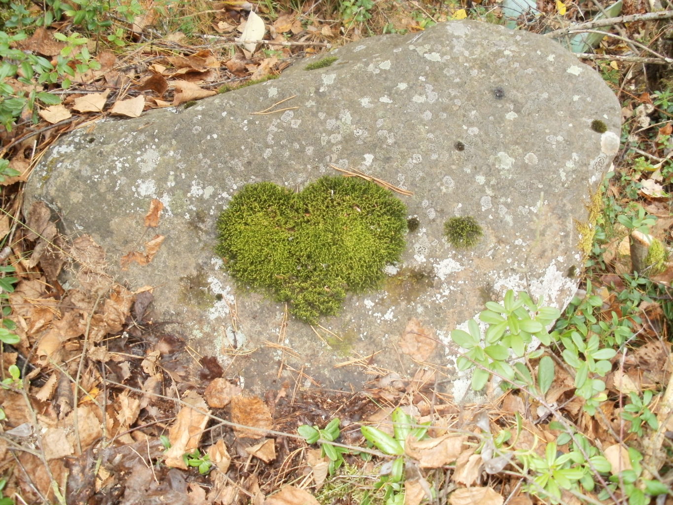 Valokuvaaja: Tuula Sipola