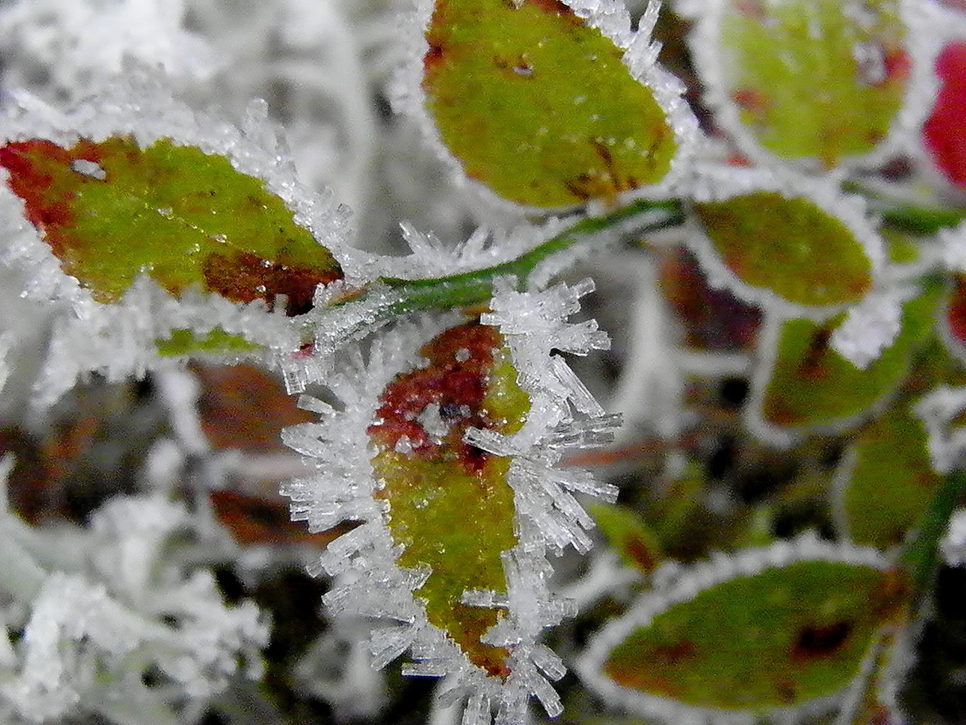 Valokuvaaja: Tuulikki Piikkilä
