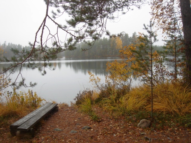 Valokuvaaja: Maria Sivula