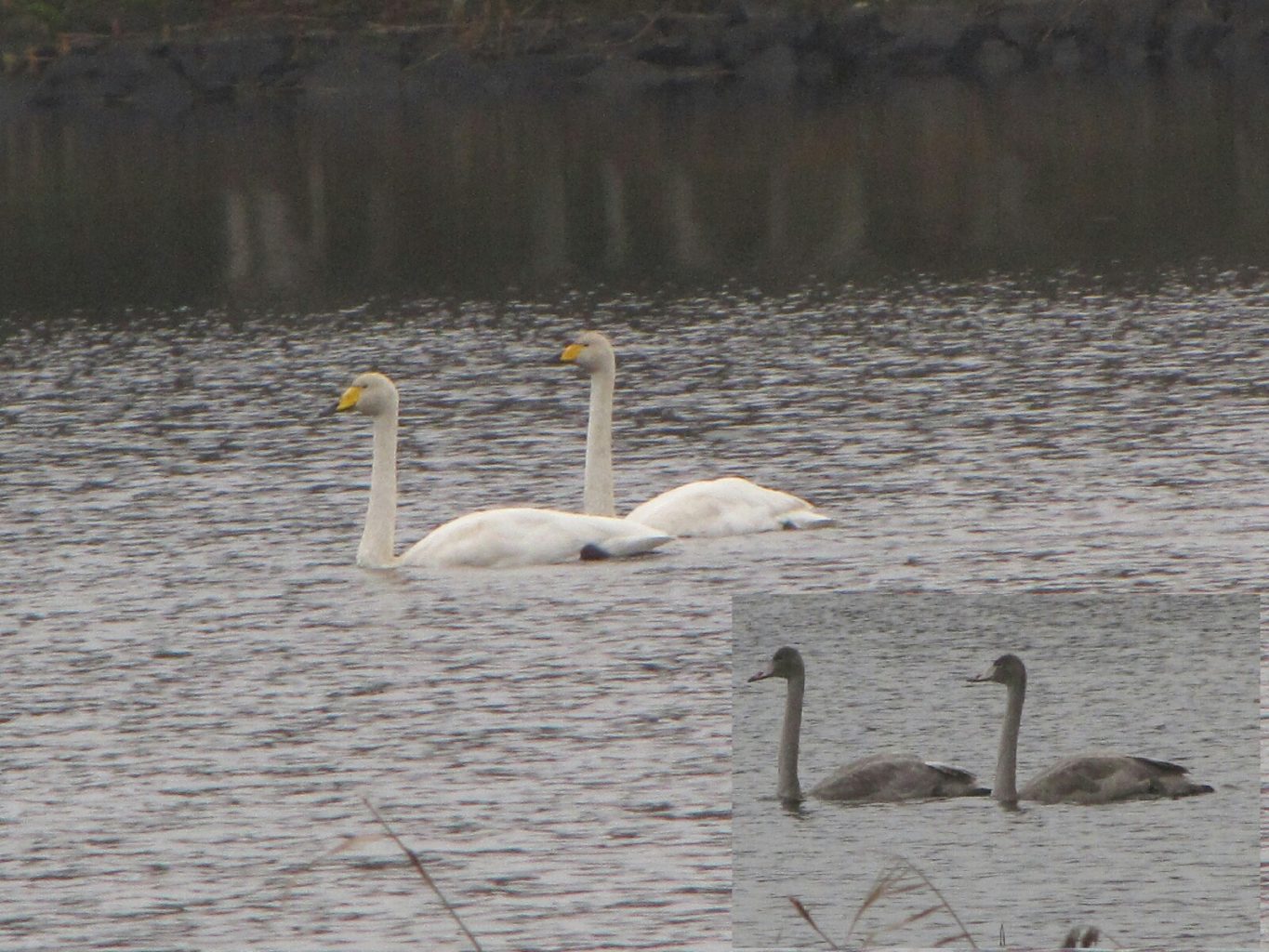 Valokuvaaja: Tuula Makkonem
