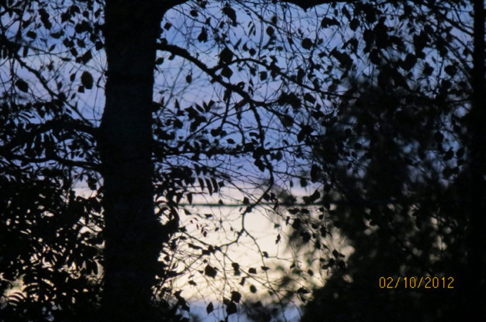 Valokuvaaja: lea mäyrä