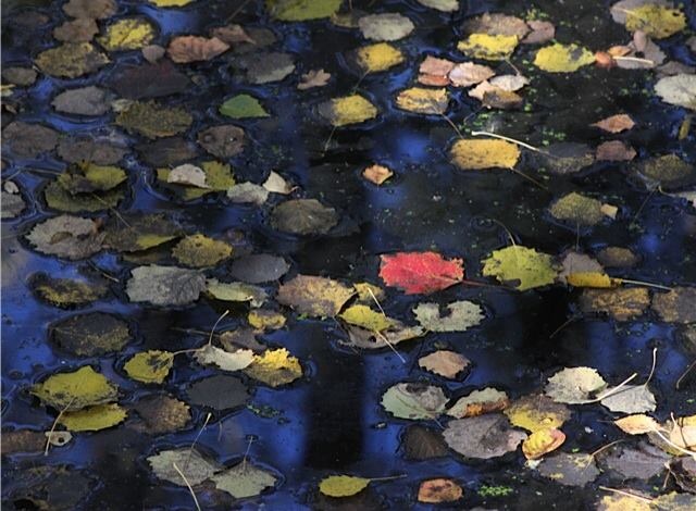 Valokuvaaja: Sanna Kaisla-Jokinen