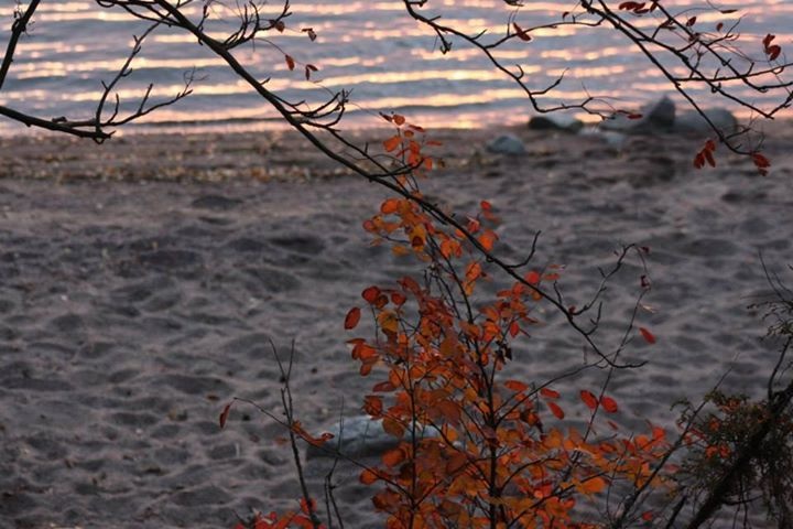 Valokuvaaja: Sanna Kaisla-Jokinen