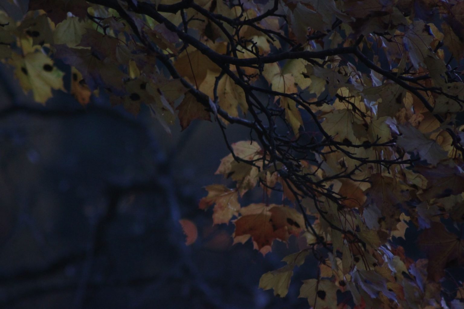 Valokuvaaja: Sanna Kaisla-Jokinen