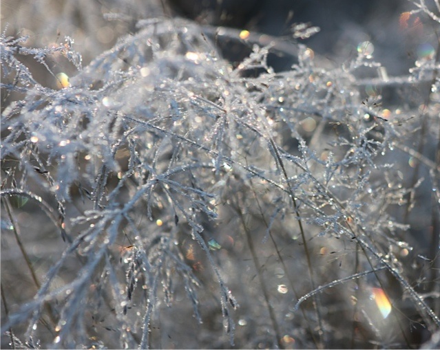 Valokuvaaja: Sanna Kaisla-Jokinen Valokuvaaja: Sanna Kaisla-Jokinen