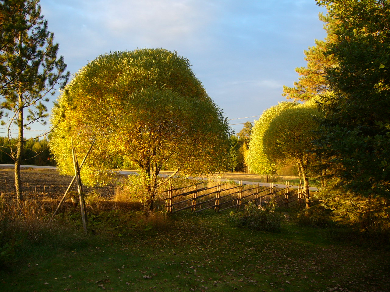 Valokuvaaja: Arja Koli Valokuvaaja: Arja Koli