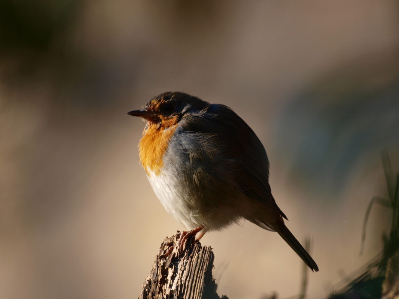 Valokuvaaja: Helinä Jokinen