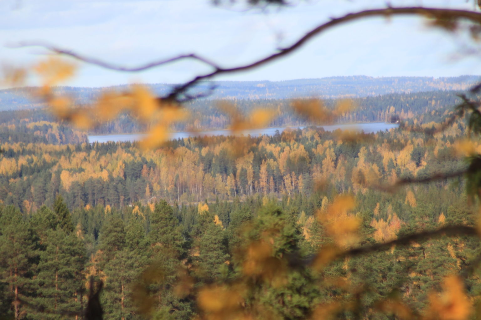 Valokuvaaja: tapio keinonen