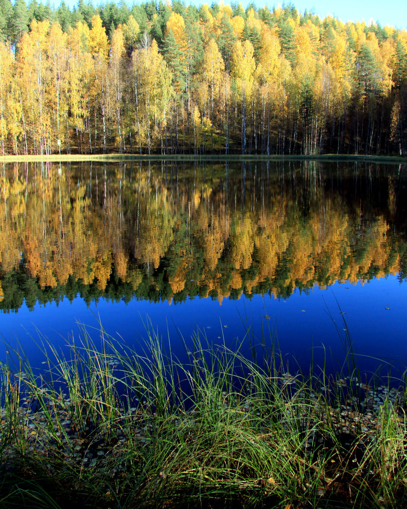 Valokuvaaja: Jukka Vaittinen