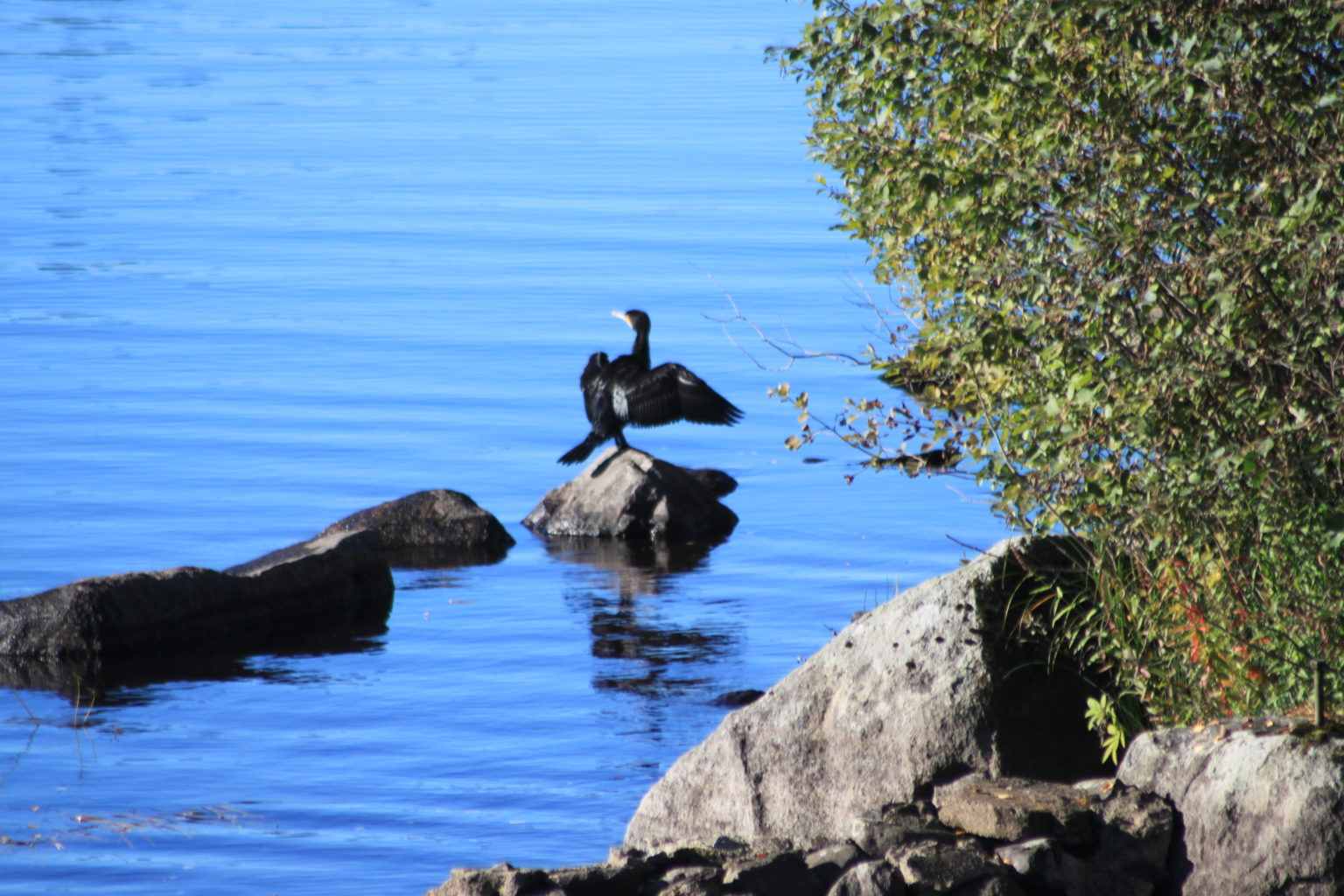 Valokuvaaja: tapio keinonen
