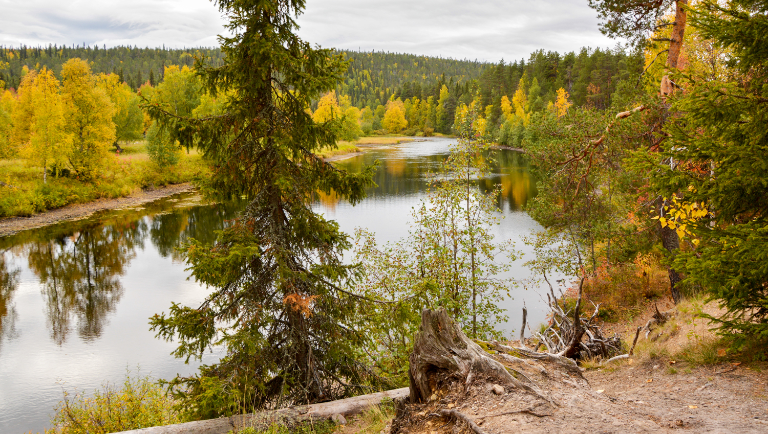 Valokuvaaja: Hannu Halmetoja